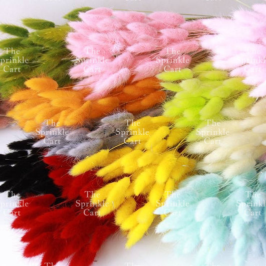 Natural Dried Bunny Tails Flower Bunch Reed Grass Dried Palm Leaf Wedding Decoration Artificial TSC
