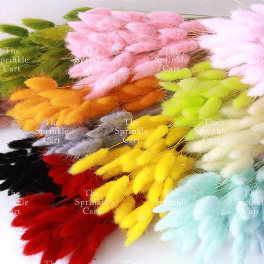 Natural Dried Bunny Tails Flower Bunch Reed Grass Dried Palm Leaf Wedding Decoration Artificial TSC