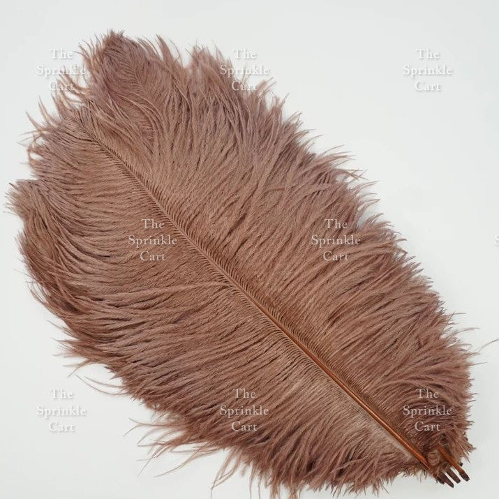 Colored Ostrich Goose Feather for DIY and Cake Decoration TSC