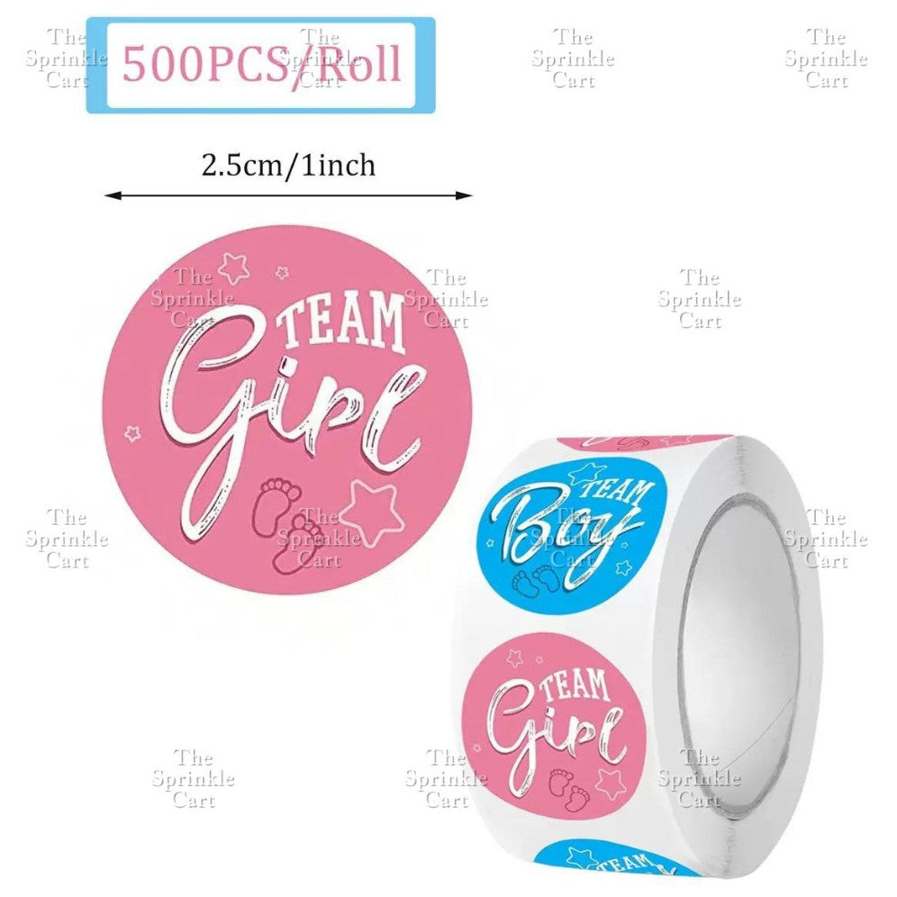 Gender Reveal Acrylic and Paper Cake Topper Decoration TSC