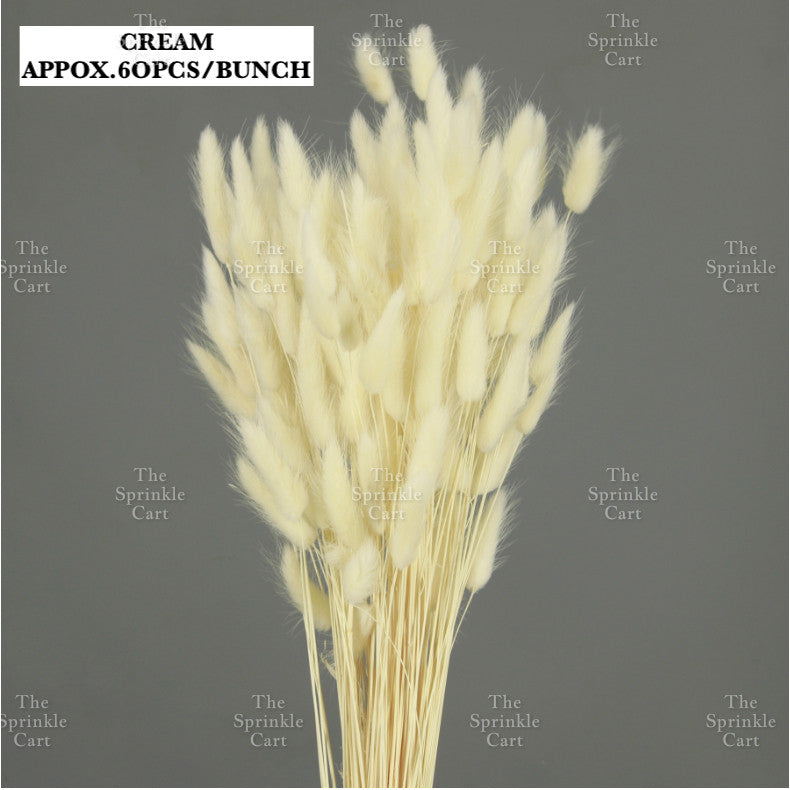 Natural Dried Bunny Tails Flower Bunch Reed Grass Dried Palm Leaf Wedding Decoration Artificial TSC