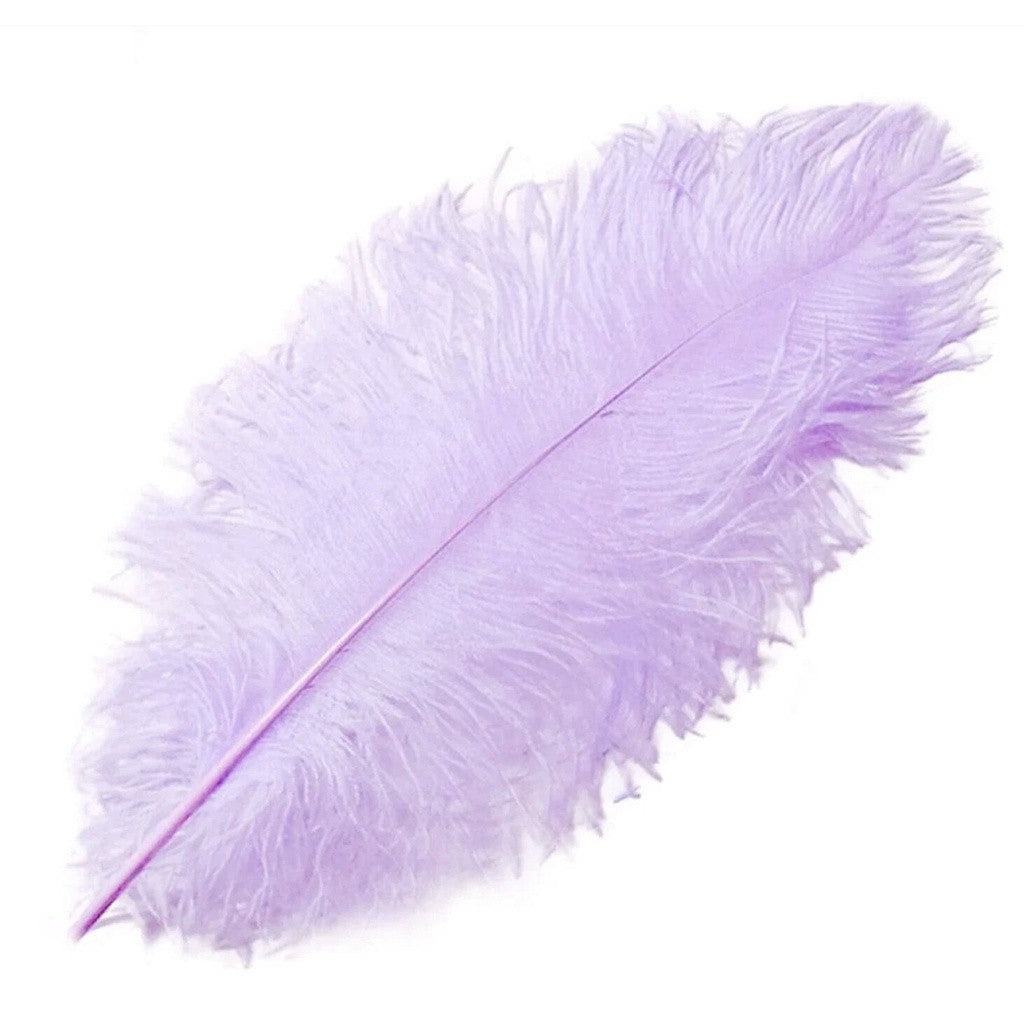 Colored Ostrich Goose Feather for DIY and Cake Decoration TSC