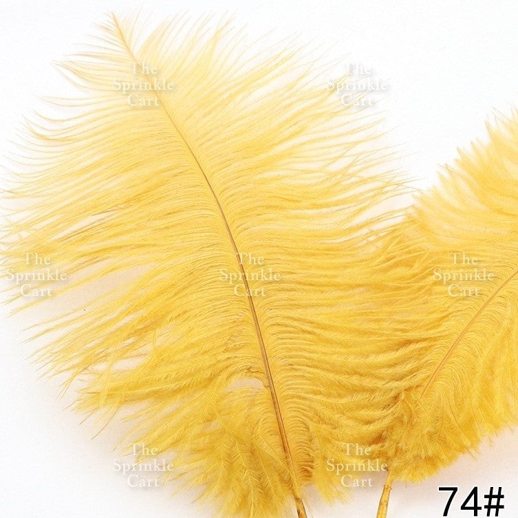 Colored Ostrich Goose Feather for DIY and Cake Decoration TSC