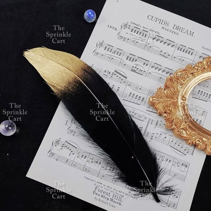 Colored Ostrich Goose Feather for DIY and Cake Decoration TSC