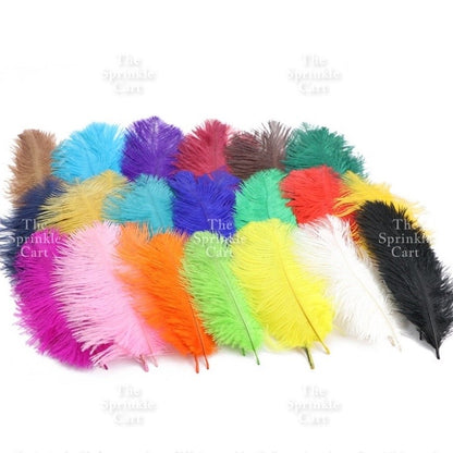 Colored Ostrich Goose Feather for DIY and Cake Decoration TSC