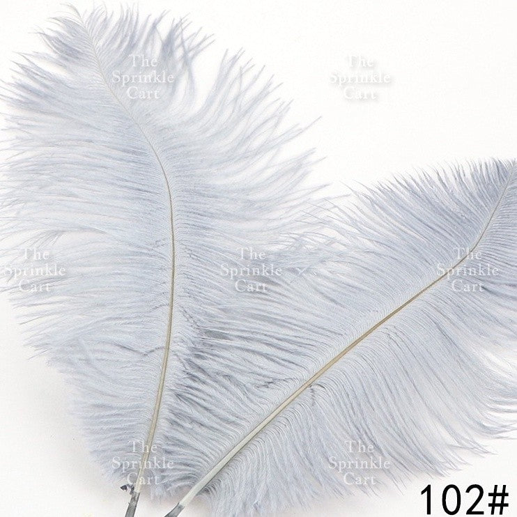Colored Ostrich Goose Feather for DIY and Cake Decoration TSC