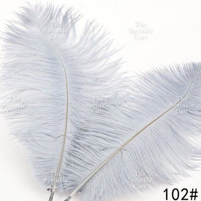 Colored Ostrich Goose Feather for DIY and Cake Decoration TSC