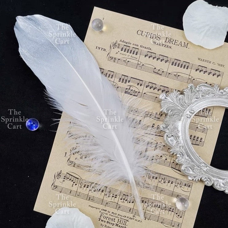 Colored Ostrich Goose Feather for DIY and Cake Decoration TSC