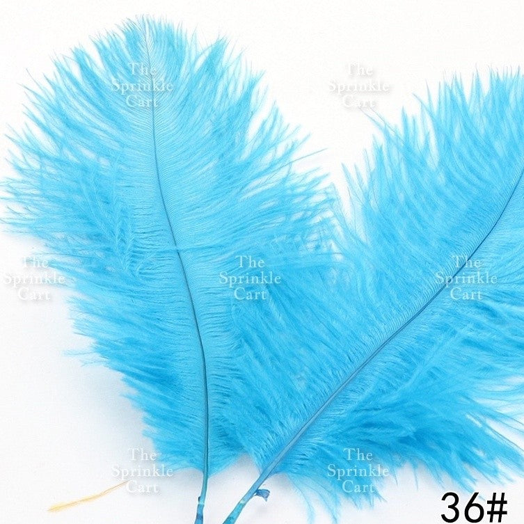 Colored Ostrich Goose Feather for DIY and Cake Decoration TSC