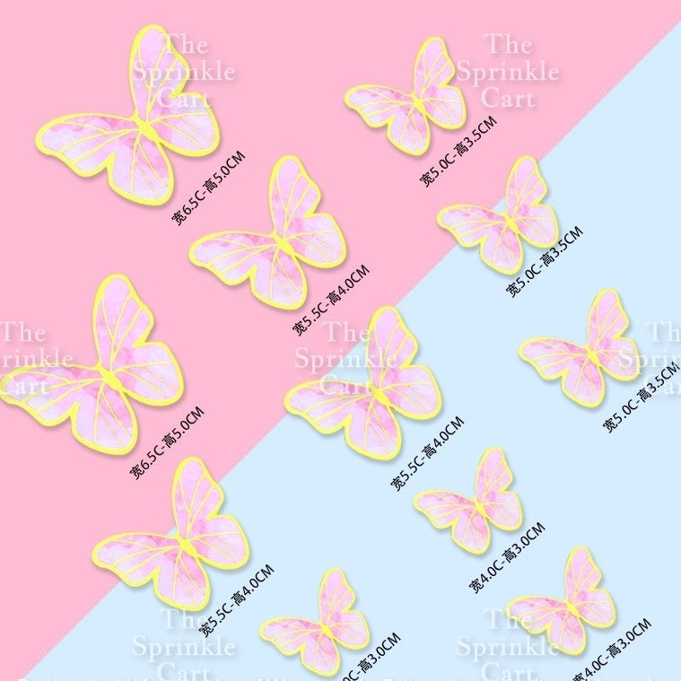 Butterfly Girl Fan Cake DIY Topper Decoration