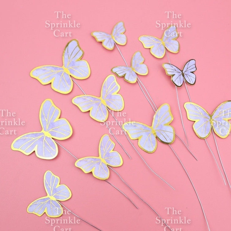 Butterfly Girl Fan Cake DIY Topper Decoration