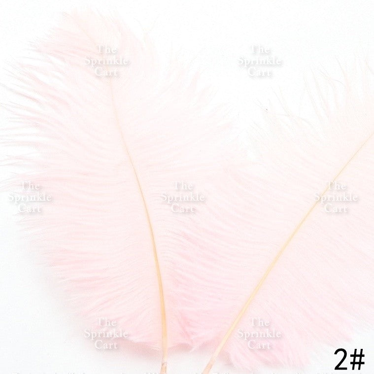 Colored Ostrich Goose Feather for DIY and Cake Decoration TSC