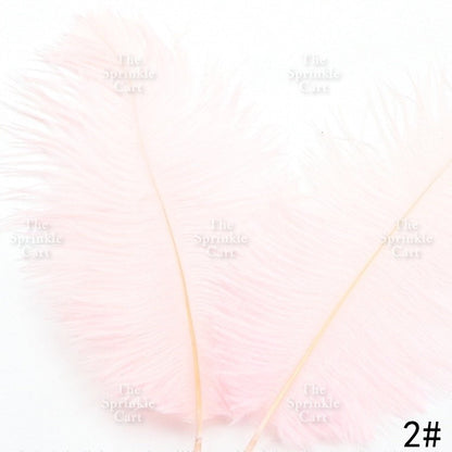 Colored Ostrich Goose Feather for DIY and Cake Decoration TSC