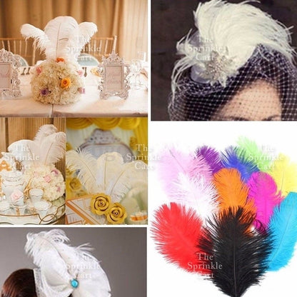 Colored Ostrich Goose Feather for DIY and Cake Decoration TSC