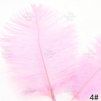 Colored Ostrich Goose Feather for DIY and Cake Decoration TSC