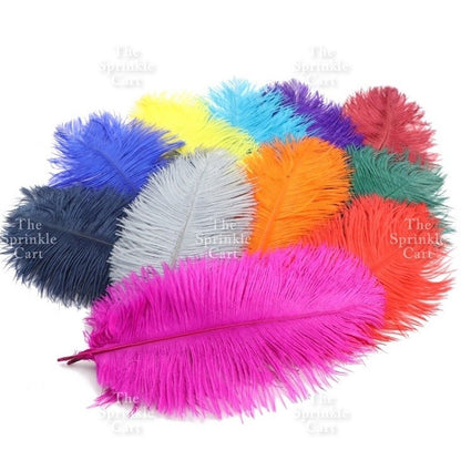 Colored Ostrich Goose Feather for DIY and Cake Decoration TSC