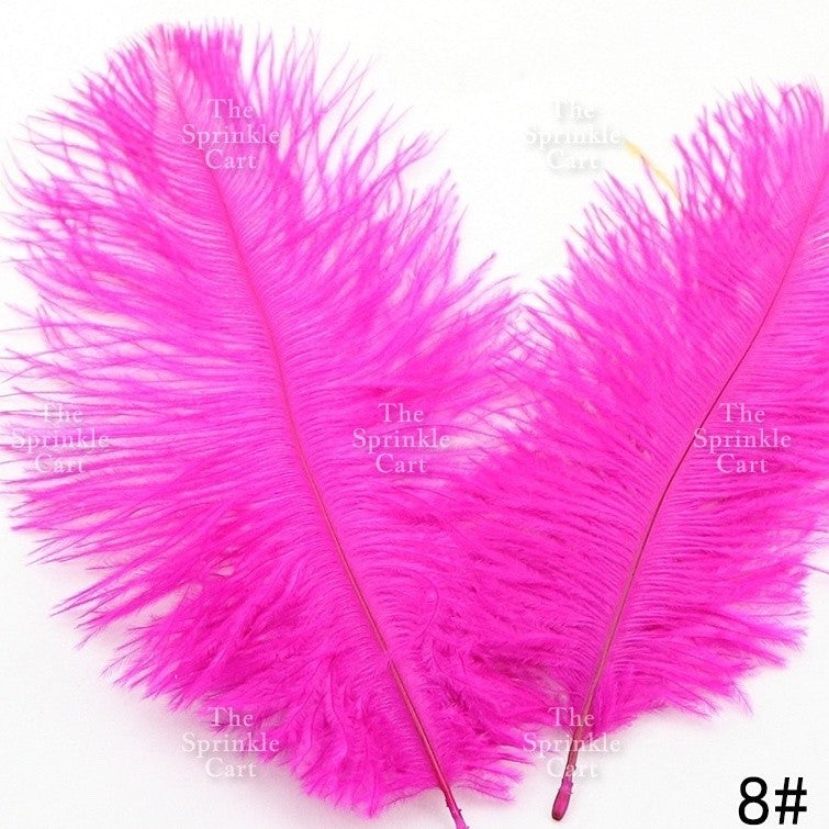 Colored Ostrich Goose Feather for DIY and Cake Decoration TSC