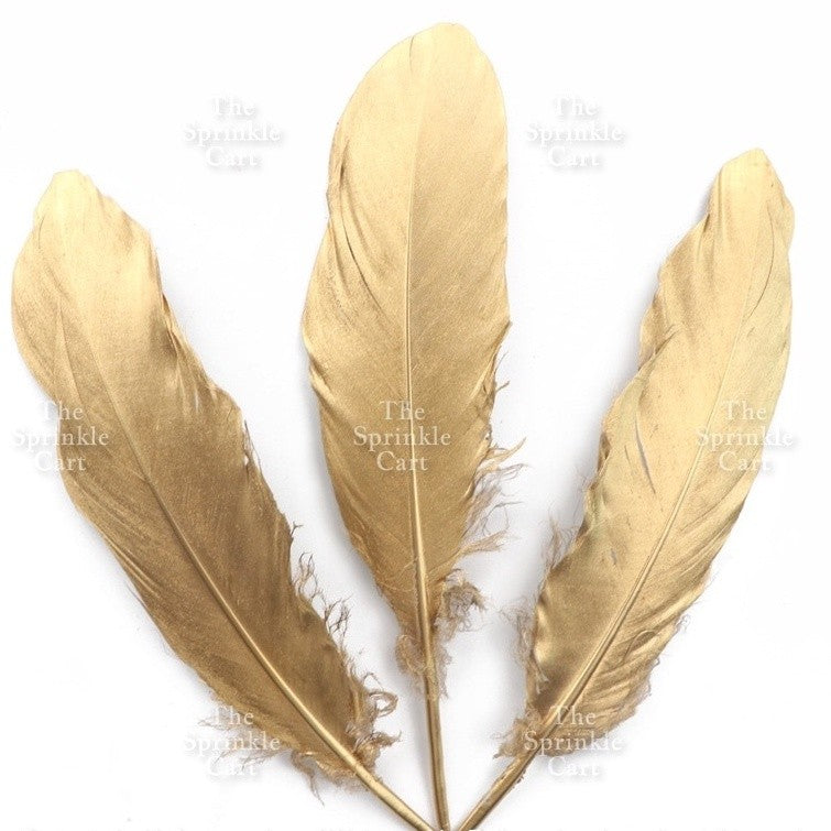 Colored Ostrich Goose Feather for DIY and Cake Decoration TSC