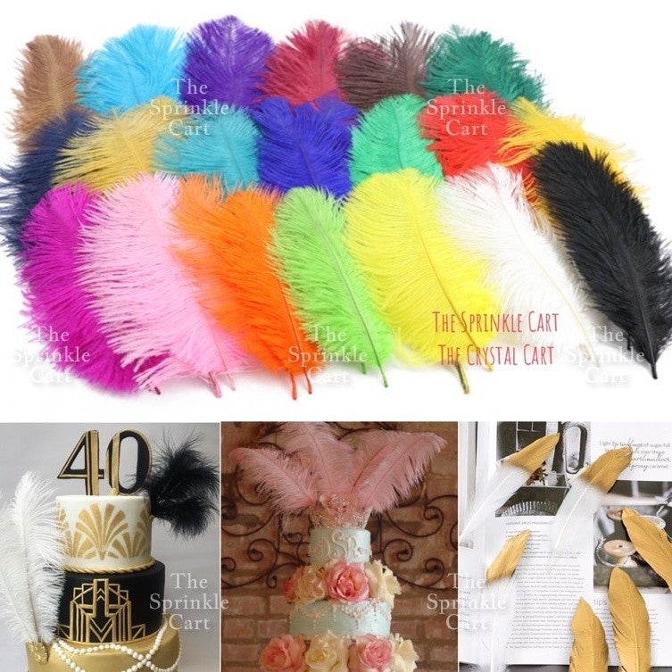 Colored Ostrich Goose Feather for DIY and Cake Decoration TSC