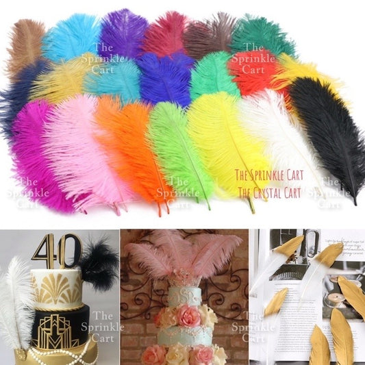 Colored Ostrich Goose Feather for DIY and Cake Decoration TSC
