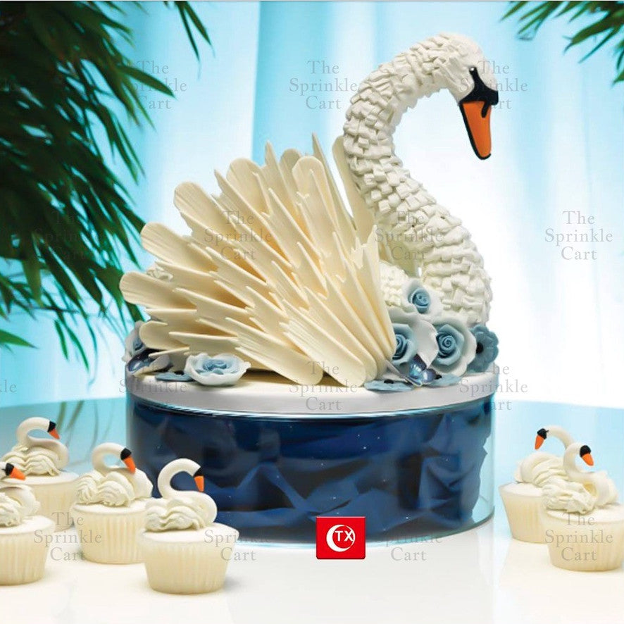 Acrylic Transparent Cake Separator Fillable Cake Spacer Decoration TSC