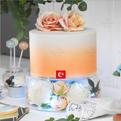 Acrylic Transparent Cake Separator Fillable Cake Spacer Decoration TSC