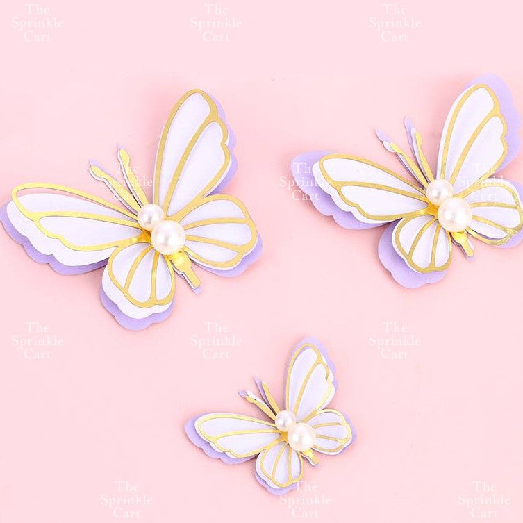 Butterfly cake topper for decoration Girl Fan cake topper