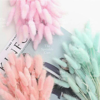 Natural Dried Bunny Tails Flower Bunch Reed Grass Dried Palm Leaf Wedding Decoration Artificial TSC