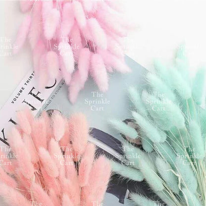 Natural Dried Bunny Tails Flower Bunch Reed Grass Dried Palm Leaf Wedding Decoration Artificial TSC