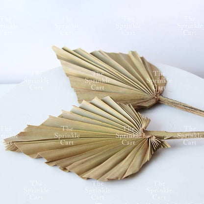 Natural Dried Bunny Tails Flower Bunch Reed Grass Dried Palm Leaf Wedding Decoration Artificial TSC