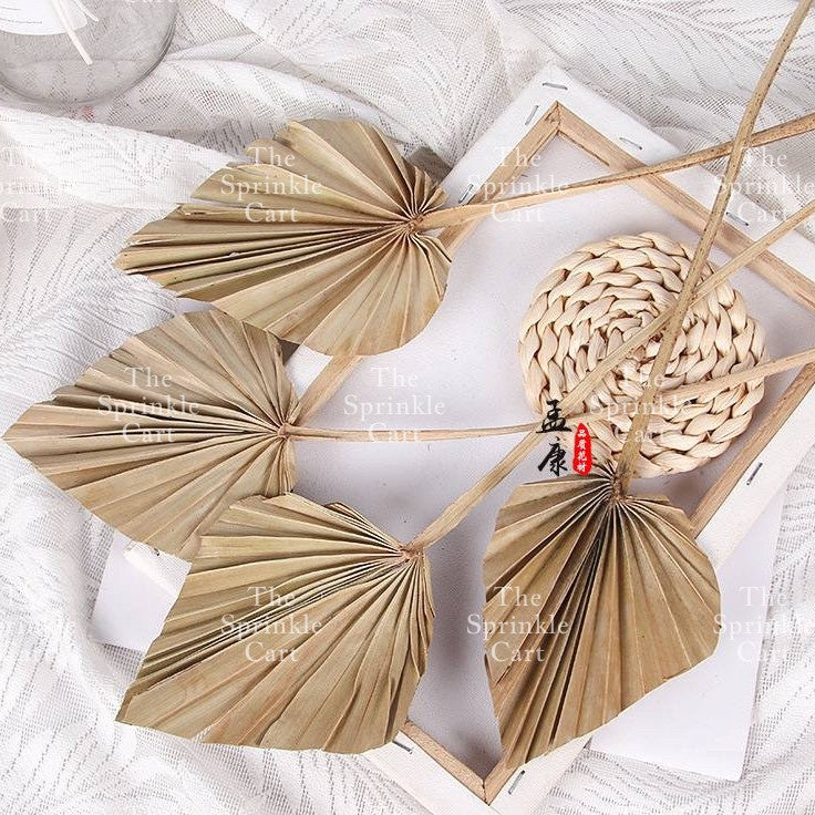 Natural Dried Bunny Tails Flower Bunch Reed Grass Dried Palm Leaf Wedding Decoration Artificial TSC