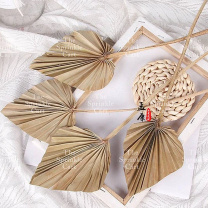 Natural Dried Bunny Tails Flower Bunch Reed Grass Dried Palm Leaf Wedding Decoration Artificial TSC