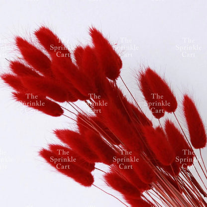 Natural Dried Bunny Tails Flower Bunch Reed Grass Dried Palm Leaf Wedding Decoration Artificial TSC