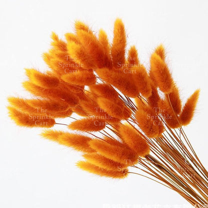 Natural Dried Bunny Tails Flower Bunch Reed Grass Dried Palm Leaf Wedding Decoration Artificial TSC