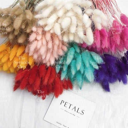 Natural Dried Bunny Tails Flower Bunch Reed Grass Dried Palm Leaf Wedding Decoration Artificial TSC