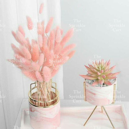 Natural Dried Bunny Tails Flower Bunch Reed Grass Dried Palm Leaf Wedding Decoration Artificial TSC