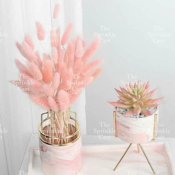Natural Dried Bunny Tails Flower Bunch Reed Grass Dried Palm Leaf Wedding Decoration Artificial TSC