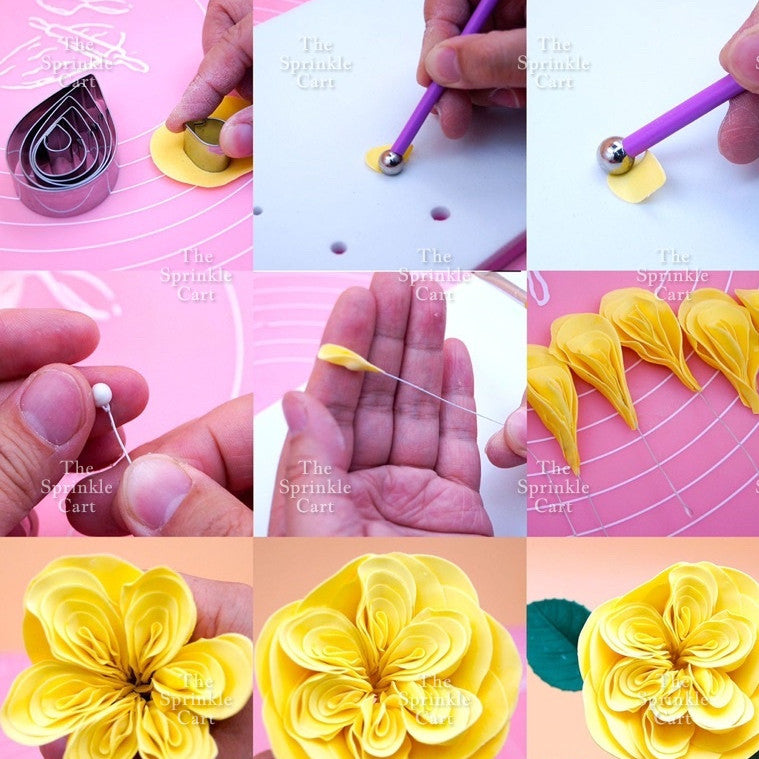 Stainless Steel Chrysanthemum/Rose Petal and Carnation Flower Fondant Cake Cutter Mould TSC