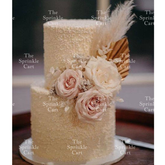 Natural Dried Bunny Tails Flower Bunch Reed Grass Dried Palm Leaf Wedding Decoration Artificial TSC
