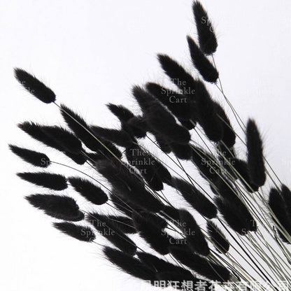 Natural Dried Bunny Tails Flower Bunch Reed Grass Dried Palm Leaf Wedding Decoration Artificial TSC