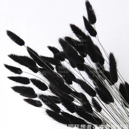 Natural Dried Bunny Tails Flower Bunch Reed Grass Dried Palm Leaf Wedding Decoration Artificial TSC