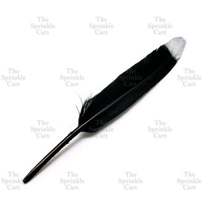 Colored Ostrich Goose Feather for DIY and Cake Decoration TSC