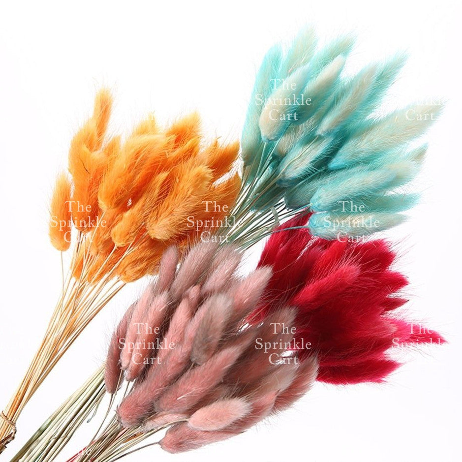Natural Dried Bunny Tails Flower Bunch Reed Grass Dried Palm Leaf Wedding Decoration Artificial TSC