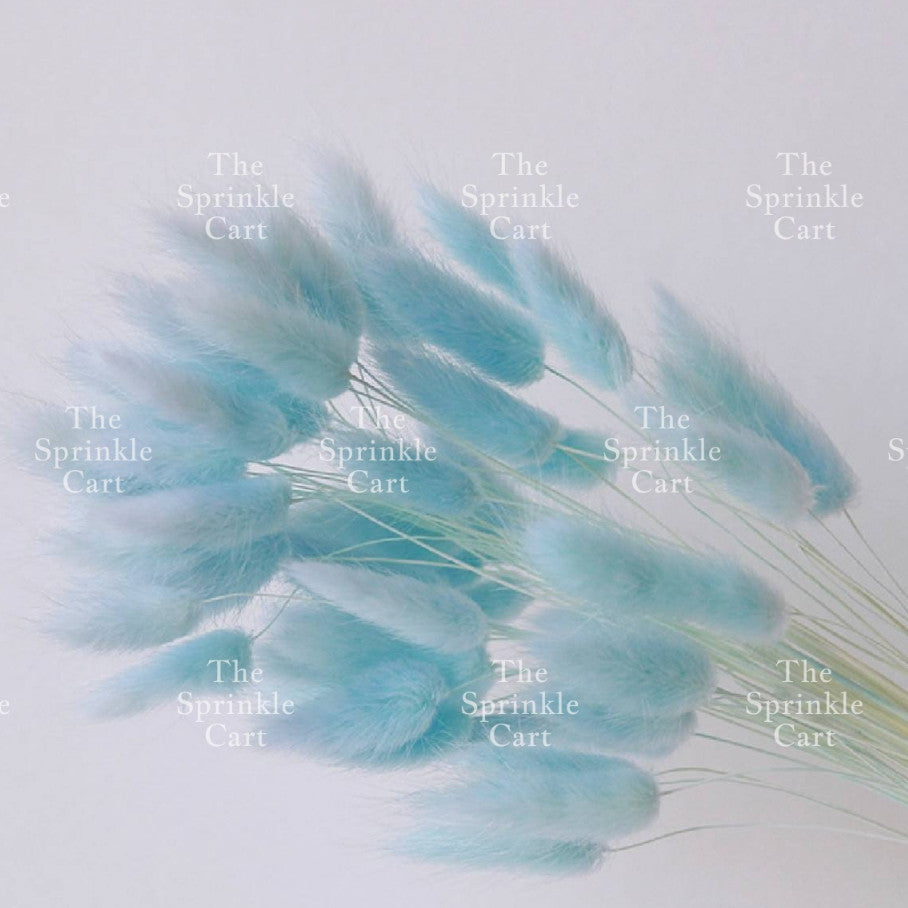 Natural Dried Bunny Tails Flower Bunch Reed Grass Dried Palm Leaf Wedding Decoration Artificial TSC