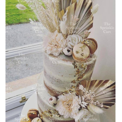 Natural Dried Bunny Tails Flower Bunch Reed Grass Dried Palm Leaf Wedding Decoration Artificial TSC