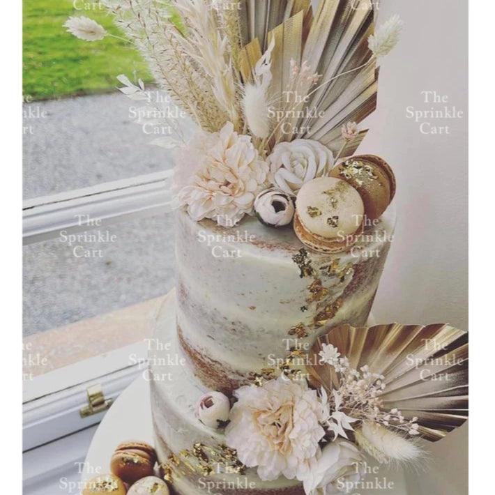 Natural Dried Bunny Tails Flower Bunch Reed Grass Dried Palm Leaf Wedding Decoration Artificial TSC