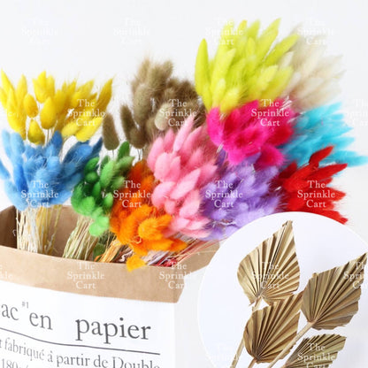 Natural Dried Bunny Tails Flower Bunch Reed Grass Dried Palm Leaf Wedding Decoration Artificial TSC