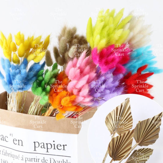 Natural Dried Bunny Tails Flower Bunch Reed Grass Dried Palm Leaf Wedding Decoration Artificial TSC