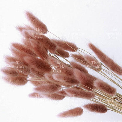 Natural Dried Bunny Tails Flower Bunch Reed Grass Dried Palm Leaf Wedding Decoration Artificial TSC