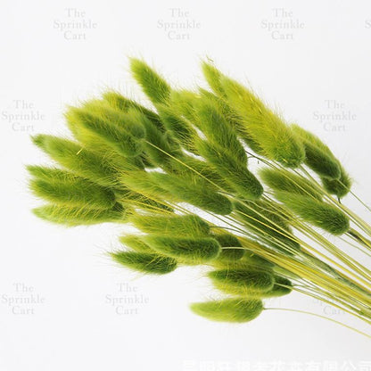 Natural Dried Bunny Tails Flower Bunch Reed Grass Dried Palm Leaf Wedding Decoration Artificial TSC